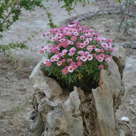 Maison d'hôtes Floralia Karterados (Santorini)